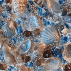 Muschelbilder handgemacht - echte Muscheln - Steinchen